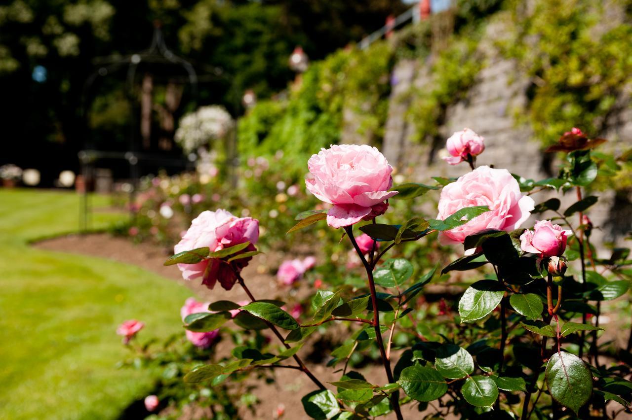Miskin Manor Hotel เฮนโซล ภายนอก รูปภาพ